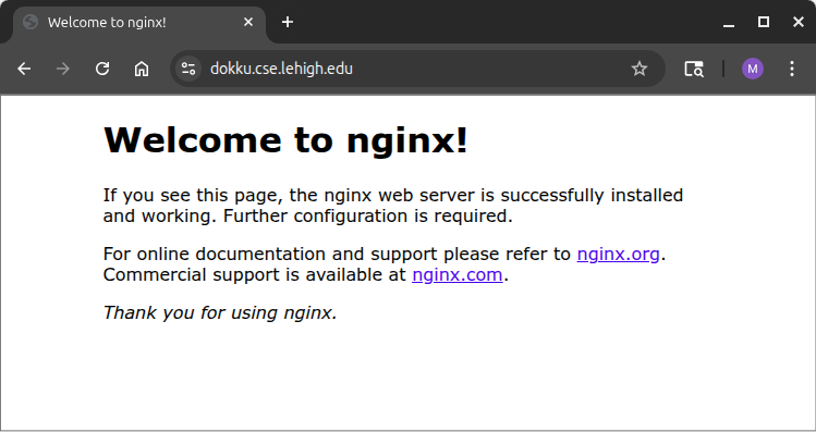 The root of the Dokku server